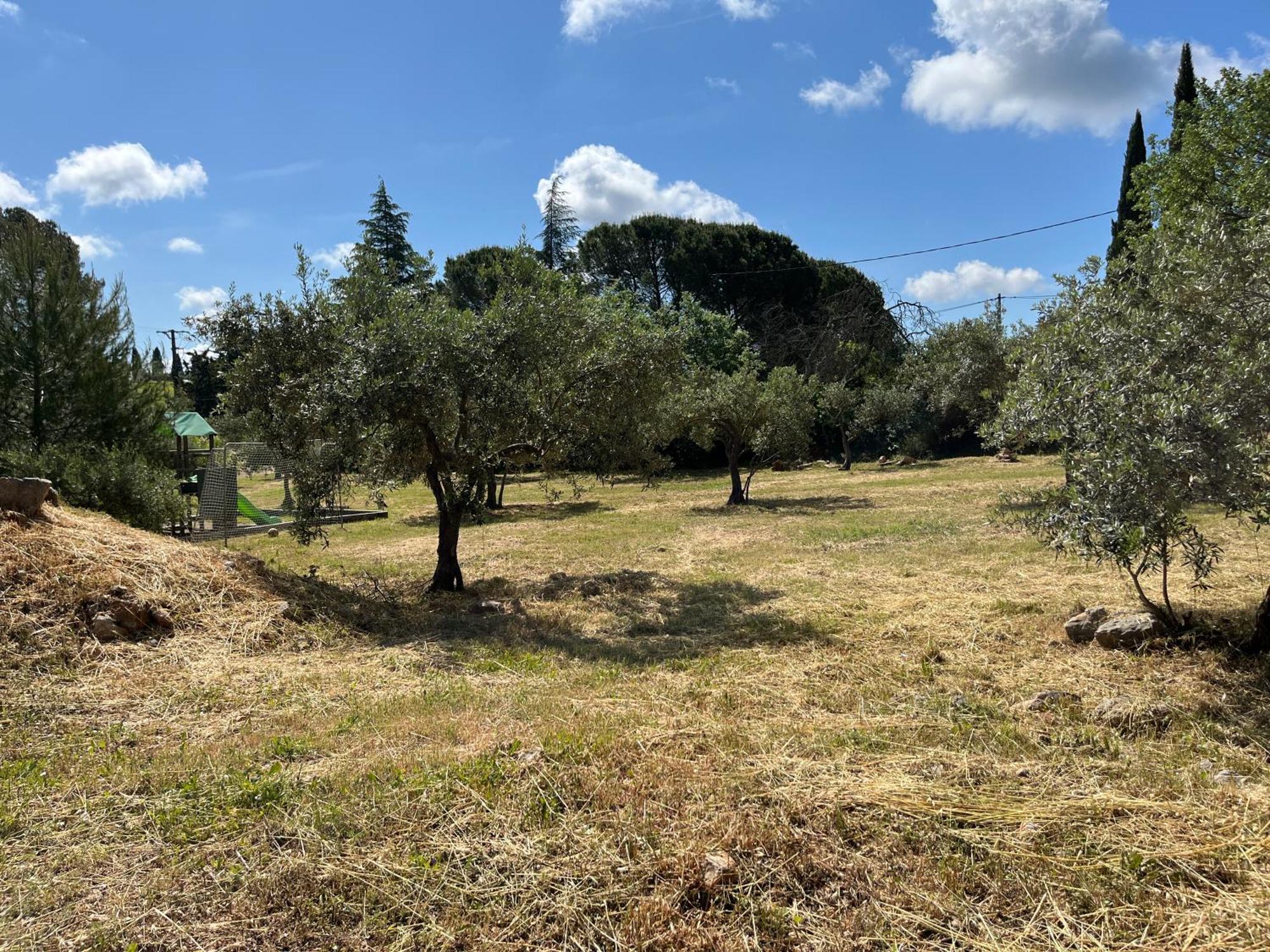 Gite Le Mas Des Oliviers Draguignan Exterior foto